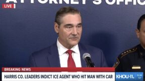 Harris County District Attorney Sean Teare